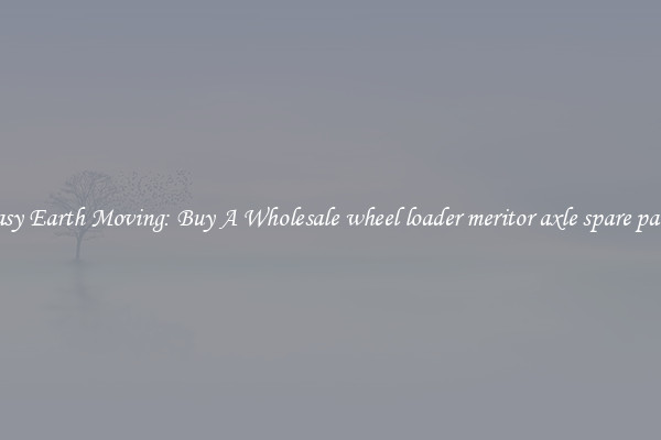 Easy Earth Moving: Buy A Wholesale wheel loader meritor axle spare parts