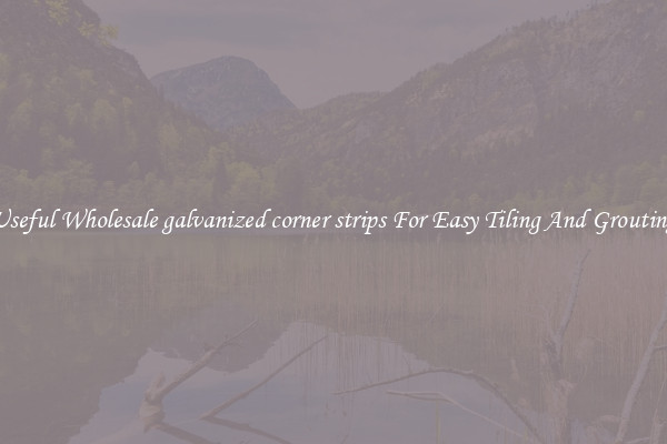 Useful Wholesale galvanized corner strips For Easy Tiling And Grouting