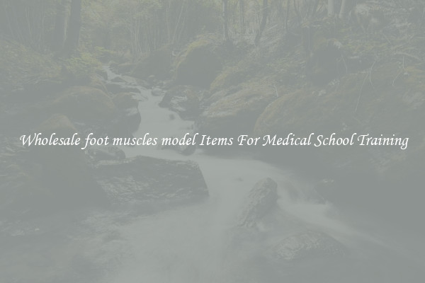 Wholesale foot muscles model Items For Medical School Training