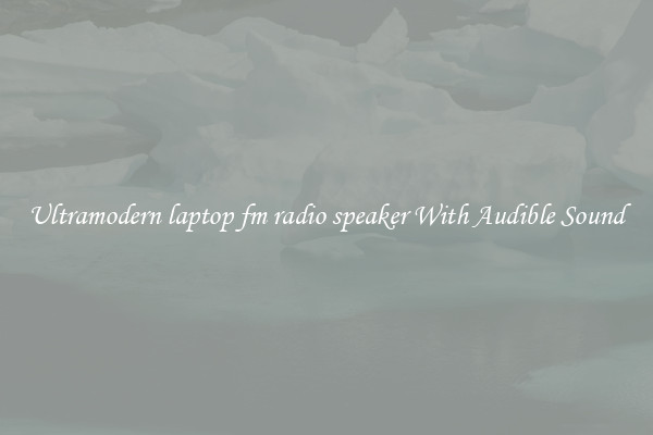 Ultramodern laptop fm radio speaker With Audible Sound