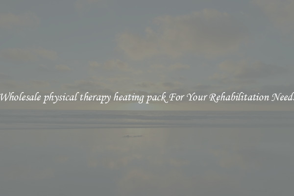 Wholesale physical therapy heating pack For Your Rehabilitation Needs