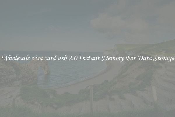 Wholesale visa card usb 2.0 Instant Memory For Data Storage