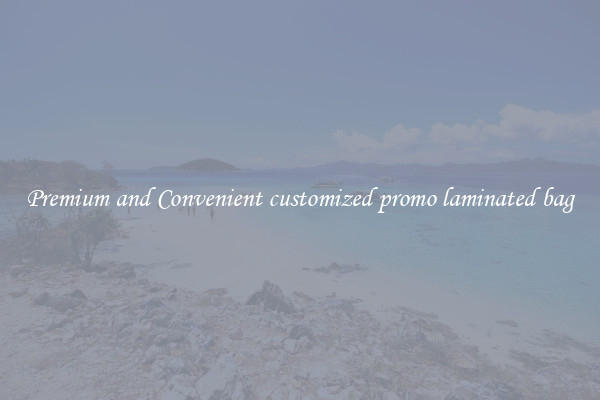 Premium and Convenient customized promo laminated bag