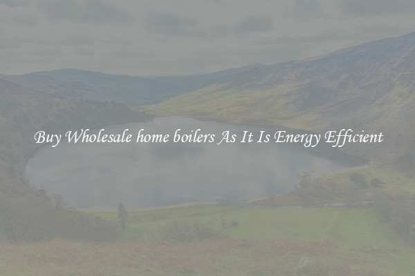 Buy Wholesale home boilers As It Is Energy Efficient