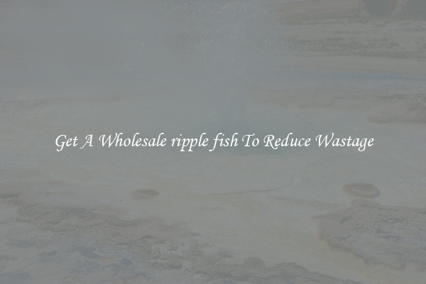 Get A Wholesale ripple fish To Reduce Wastage