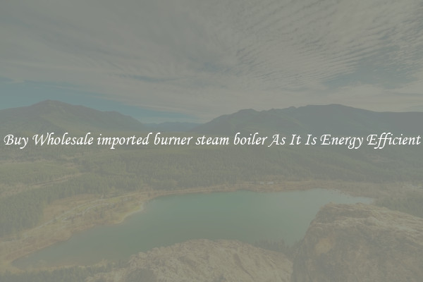 Buy Wholesale imported burner steam boiler As It Is Energy Efficient