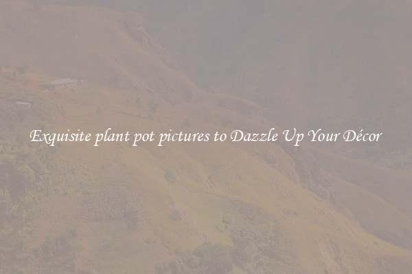 Exquisite plant pot pictures to Dazzle Up Your Décor 