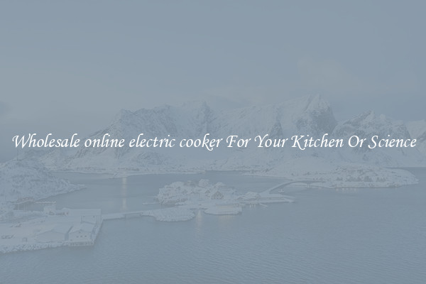 Wholesale online electric cooker For Your Kitchen Or Science