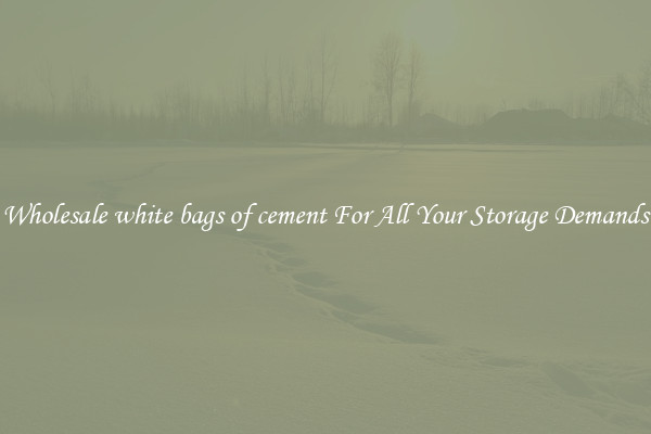 Wholesale white bags of cement For All Your Storage Demands