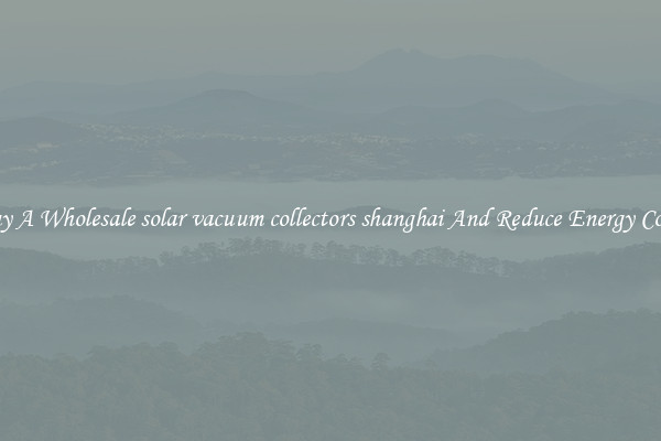Buy A Wholesale solar vacuum collectors shanghai And Reduce Energy Costs