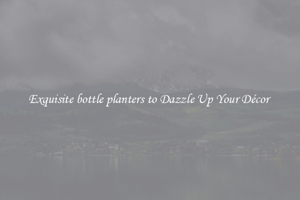 Exquisite bottle planters to Dazzle Up Your Décor 