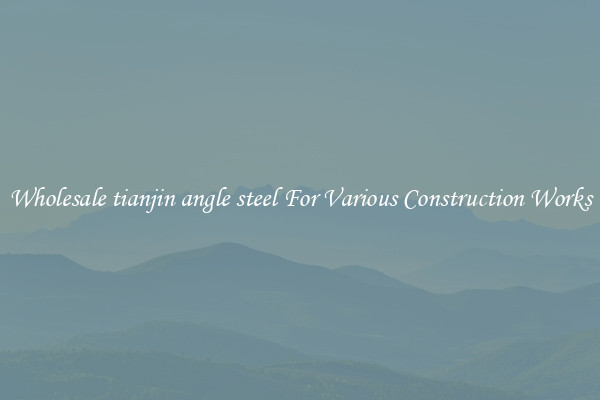 Wholesale tianjin angle steel For Various Construction Works
