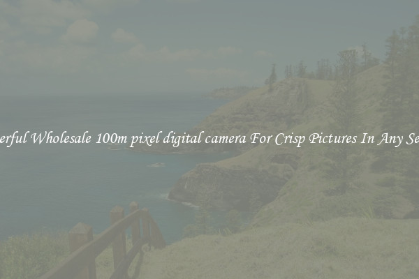 Powerful Wholesale 100m pixel digital camera For Crisp Pictures In Any Setting