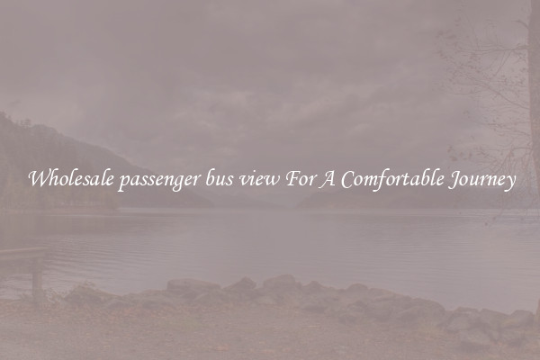 Wholesale passenger bus view For A Comfortable Journey