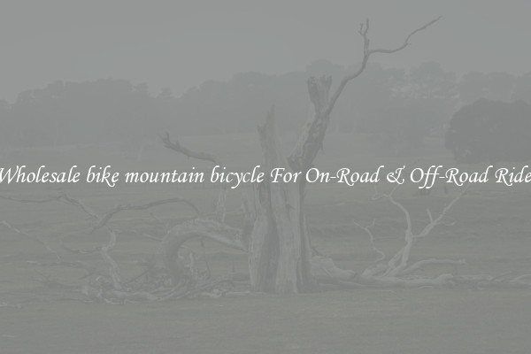 Wholesale bike mountain bicycle For On-Road & Off-Road Rides